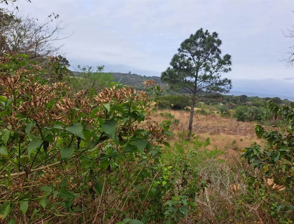 1061 m² Land available in Leisure Bay photo number 3