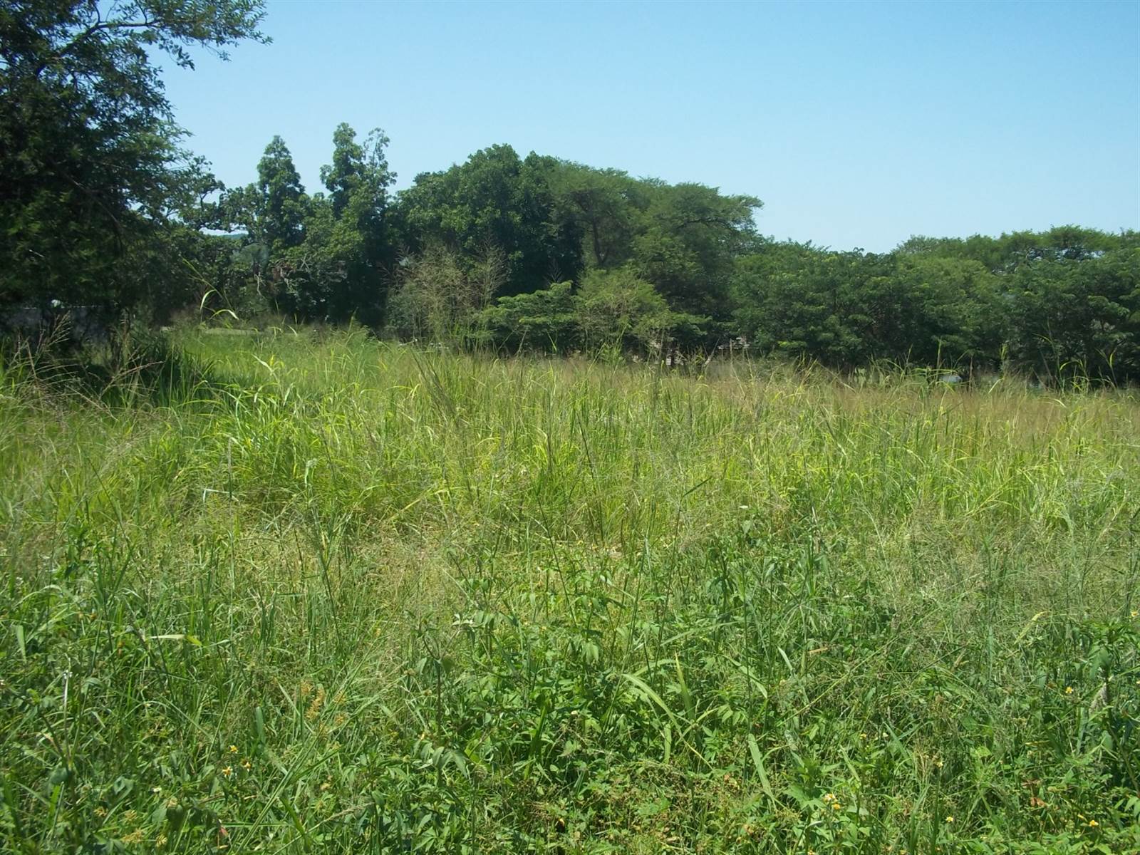 1450 m² Land available in Hazyview photo number 8