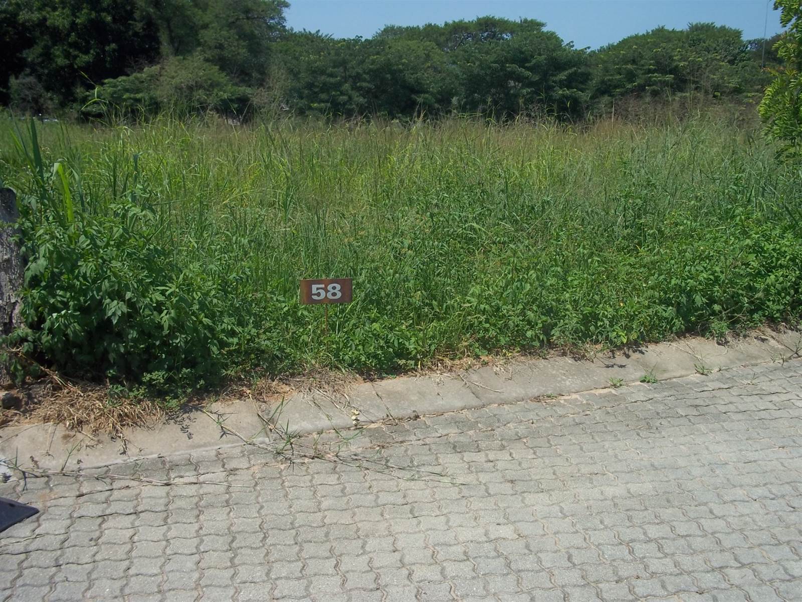 1450 m² Land available in Hazyview photo number 4