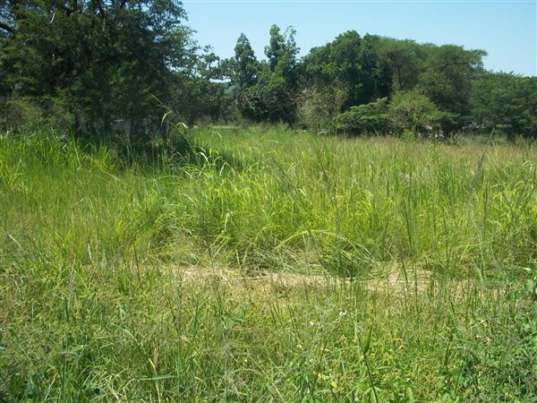 1450 m² Land available in Hazyview