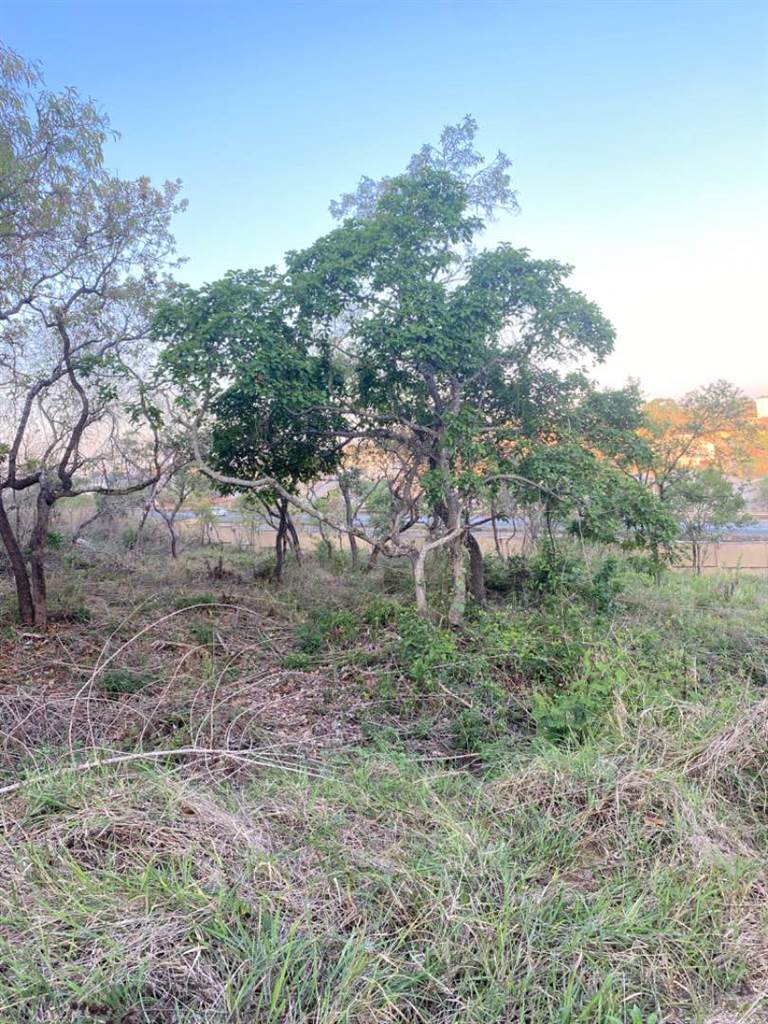 1560 m² Land available in Drum Rock photo number 2