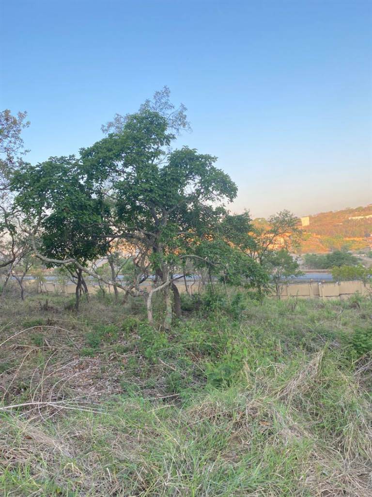 1560 m² Land available in Drum Rock photo number 3