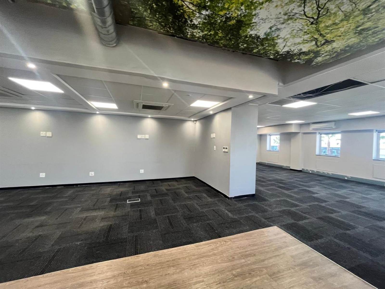 223  m² Commercial space in Rosebank photo number 2