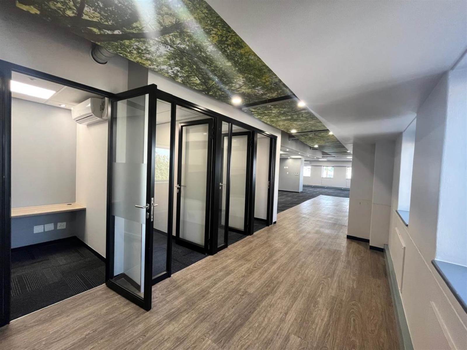 223  m² Commercial space in Rosebank photo number 3
