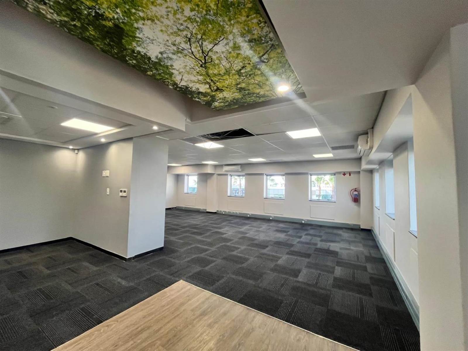 223  m² Commercial space in Rosebank photo number 6