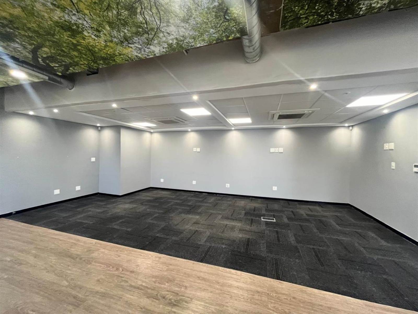 223  m² Commercial space in Rosebank photo number 4