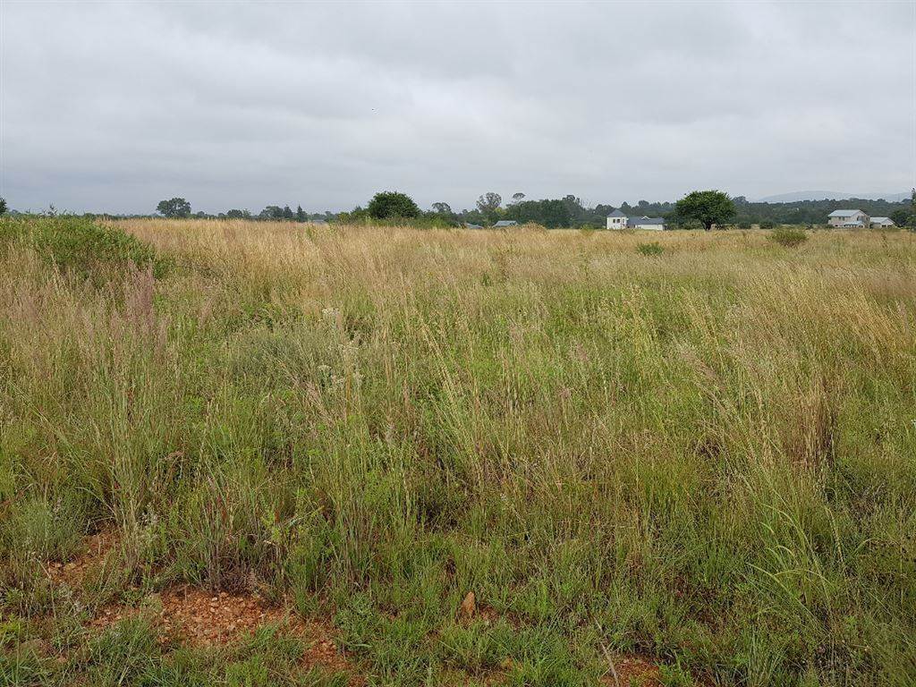 808 m² Land available in Parys Golf Estate photo number 3