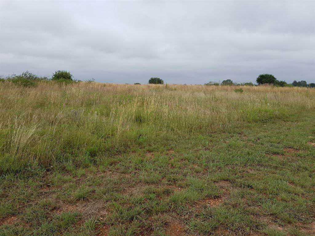 808 m² Land available in Parys Golf Estate photo number 6