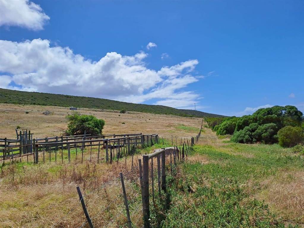 9.9 ha Smallholding in Agulhas photo number 10