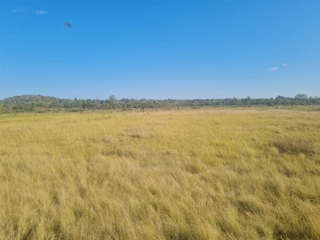 5563 m² Land available in Wilkeville photo number 5