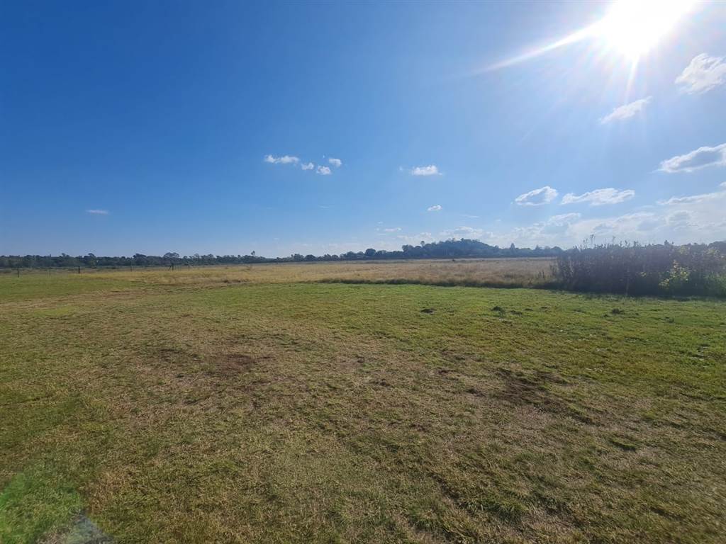 5563 m² Land available in Wilkeville photo number 6