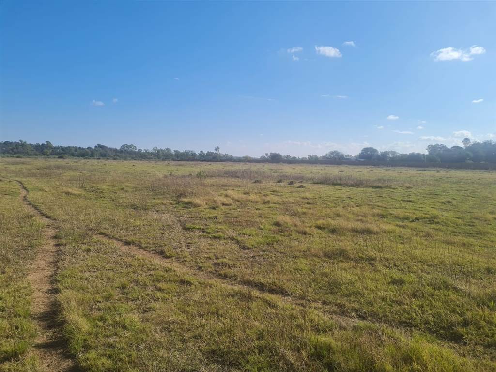 5563 m² Land available in Wilkeville photo number 4