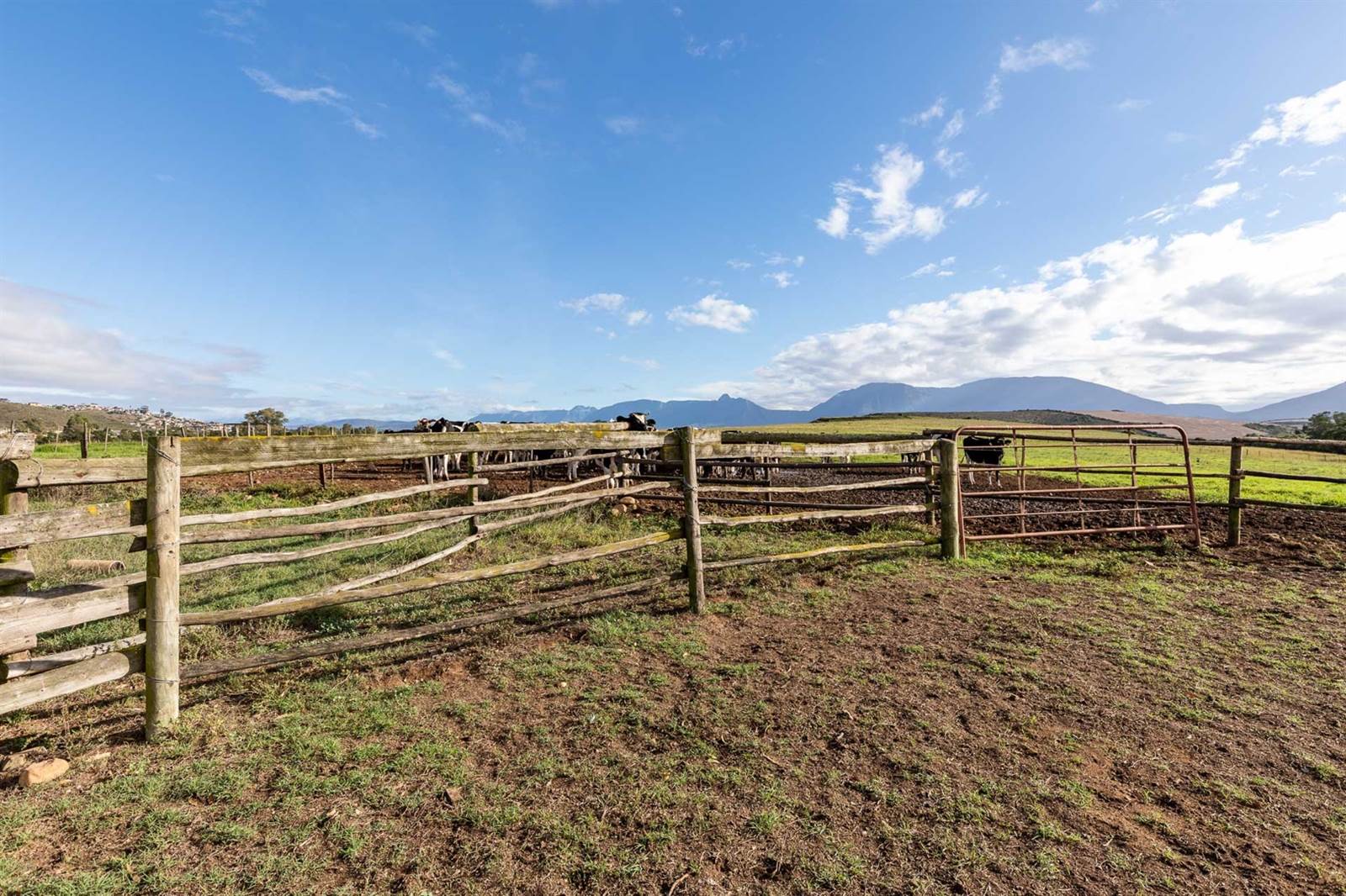 49 ha Farm in Riversdale photo number 14
