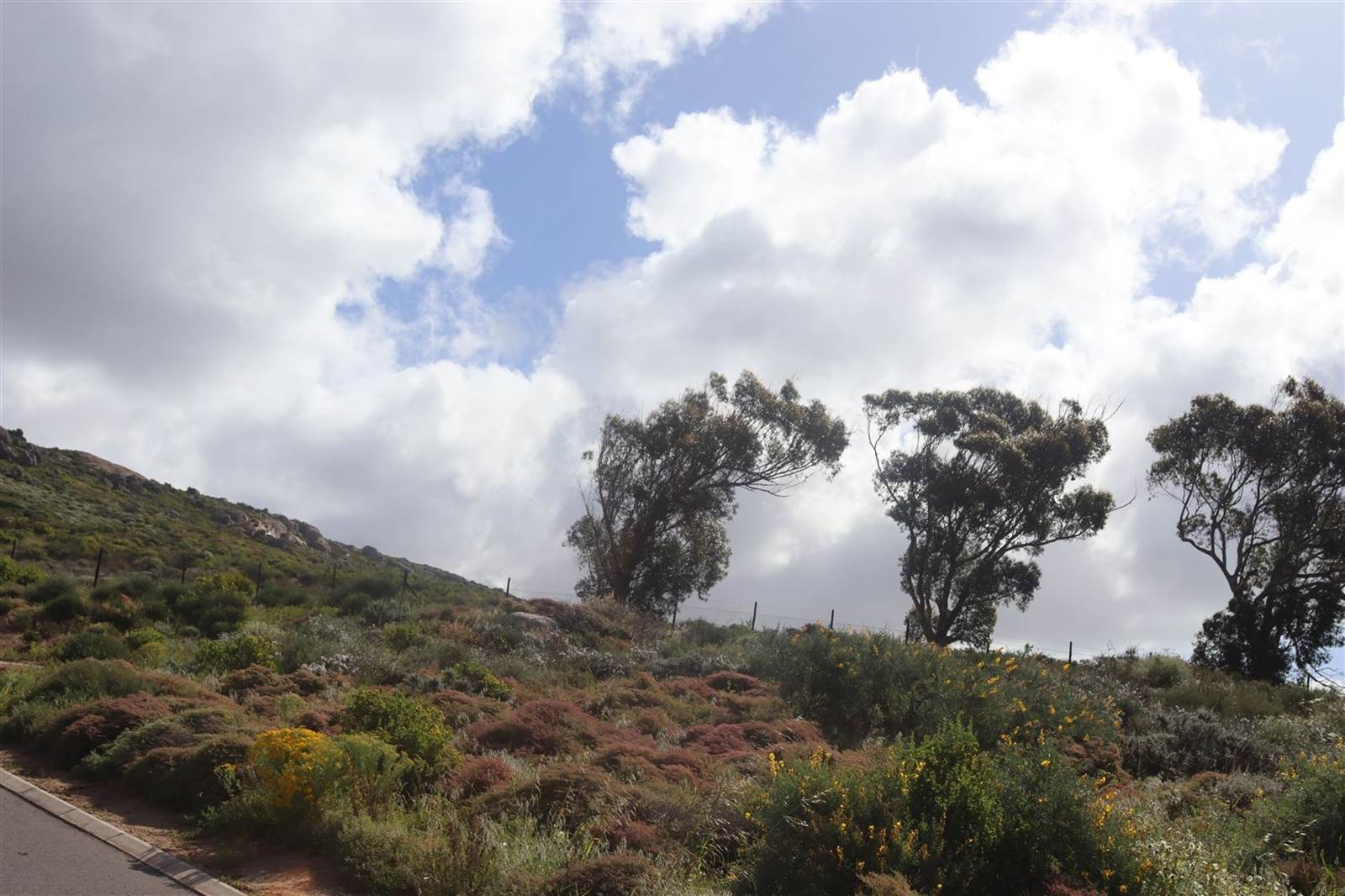 431 m² Land available in St Helena Views photo number 13