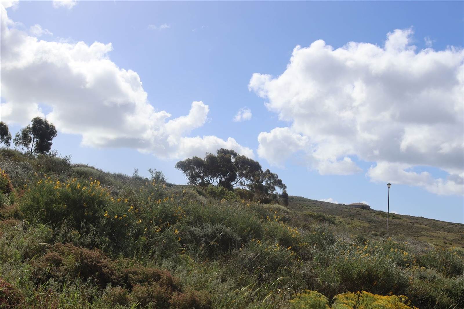 431 m² Land available in St Helena Views photo number 14