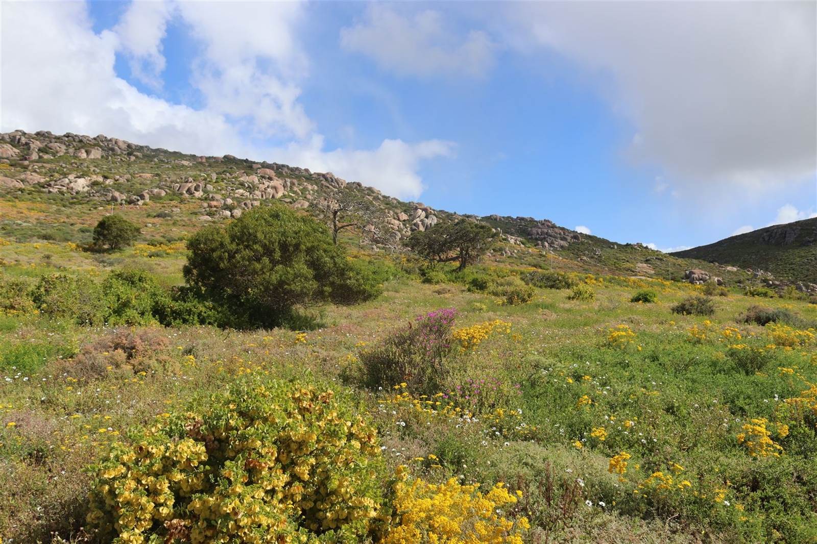 431 m² Land available in St Helena Views photo number 18