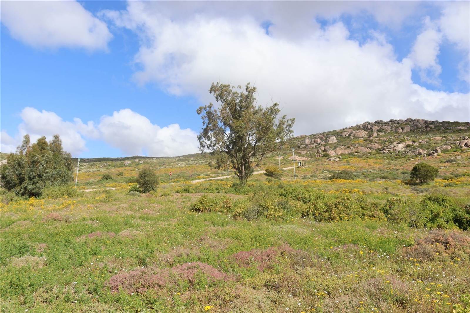 431 m² Land available in St Helena Views photo number 19