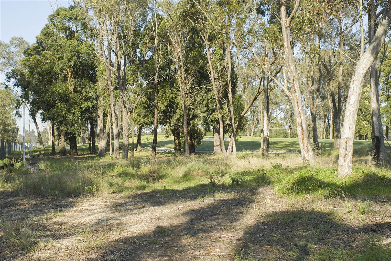 600 m² Land available in Wedgewood Golf Estate photo number 20