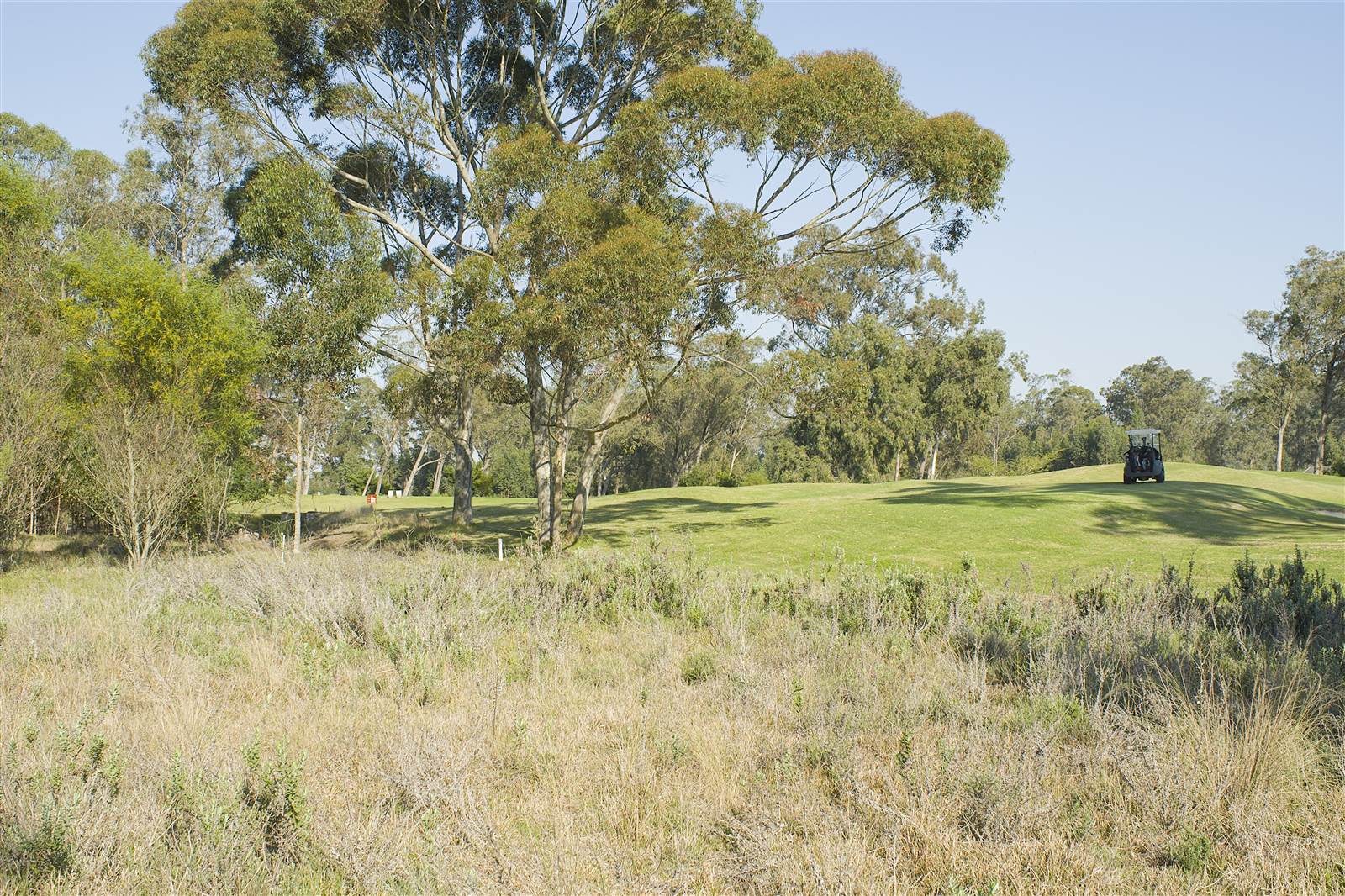 600 m² Land available in Wedgewood Golf Estate photo number 13