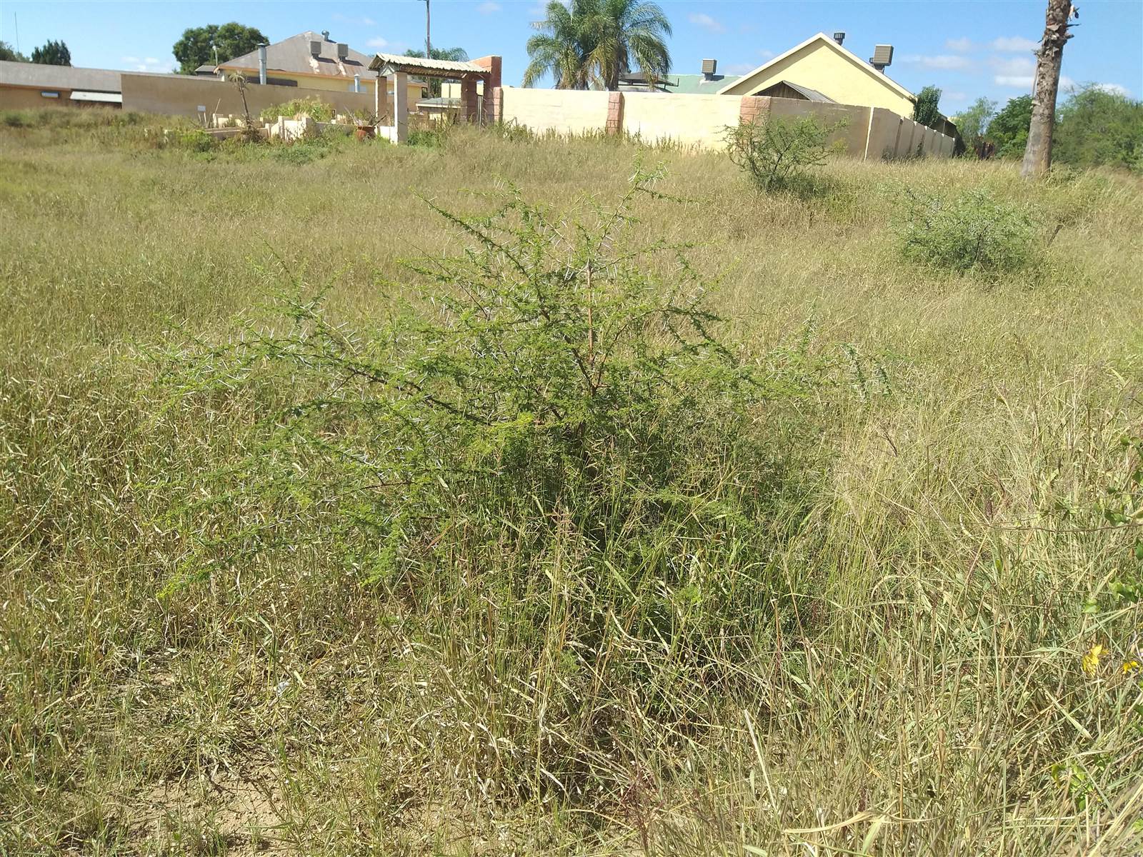 4 ha Land available in Polokwane Central photo number 10