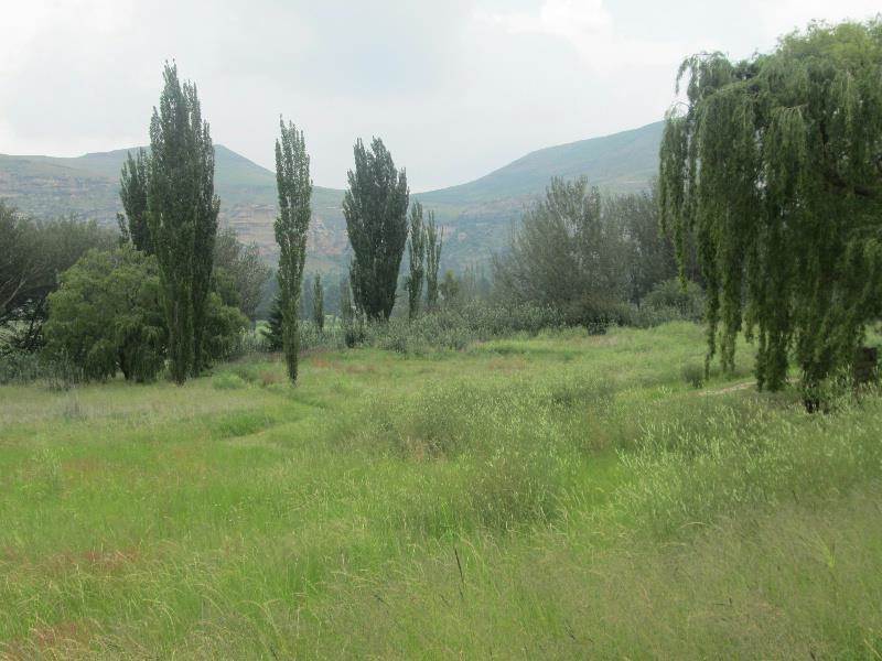 700 m² Land available in Clarens photo number 2
