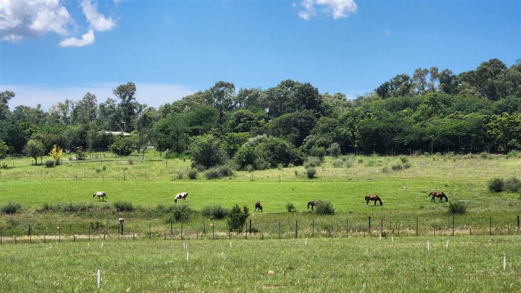 21 ha Land available in Muldersdrift photo number 3