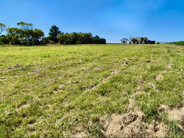 8 831 m² Smallholding 8 831 m² Smallholding