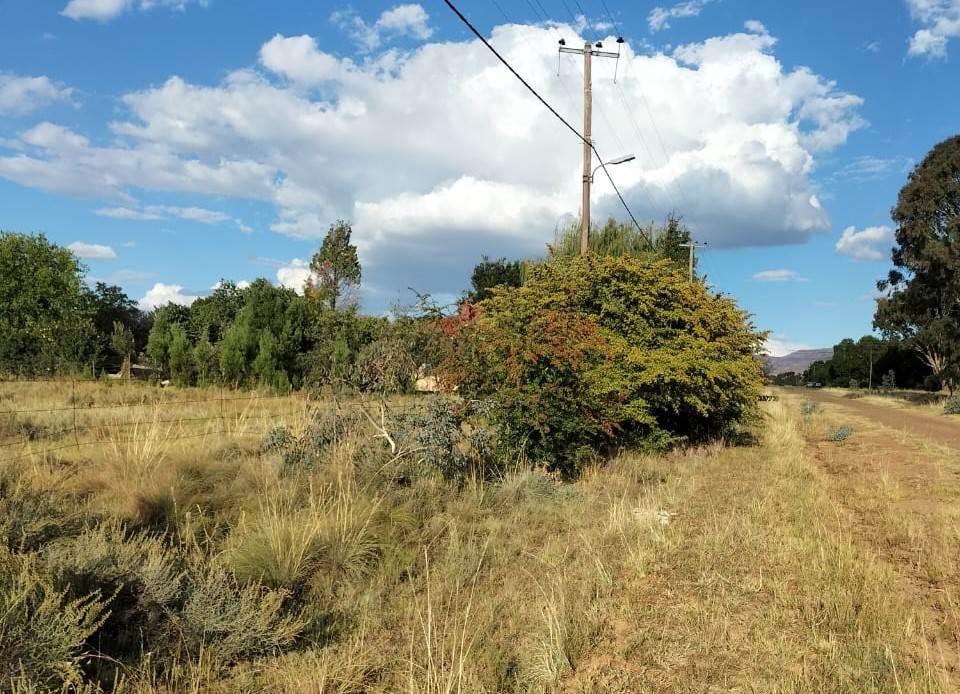 3643 m² Land available in Rosendal photo number 4