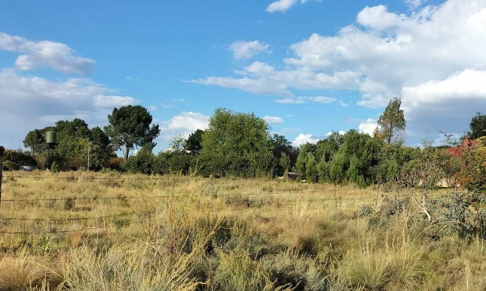 3643 m² Land available in Rosendal photo number 3