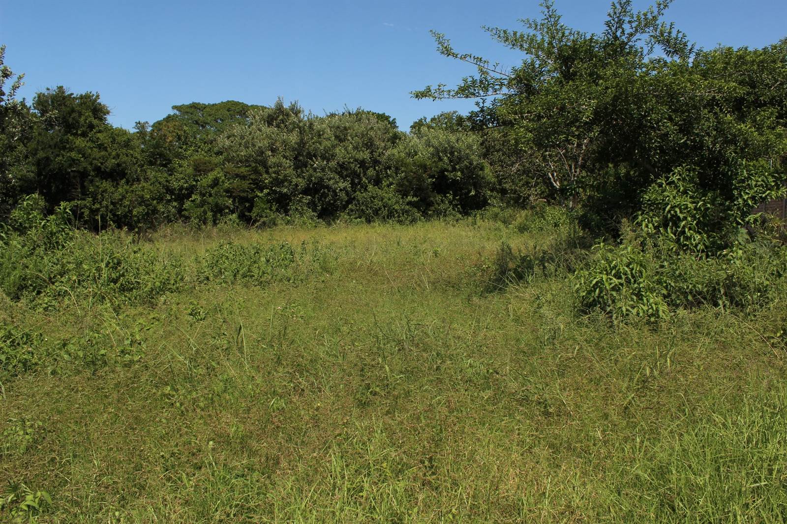 756 m² Land available in Cintsa photo number 10