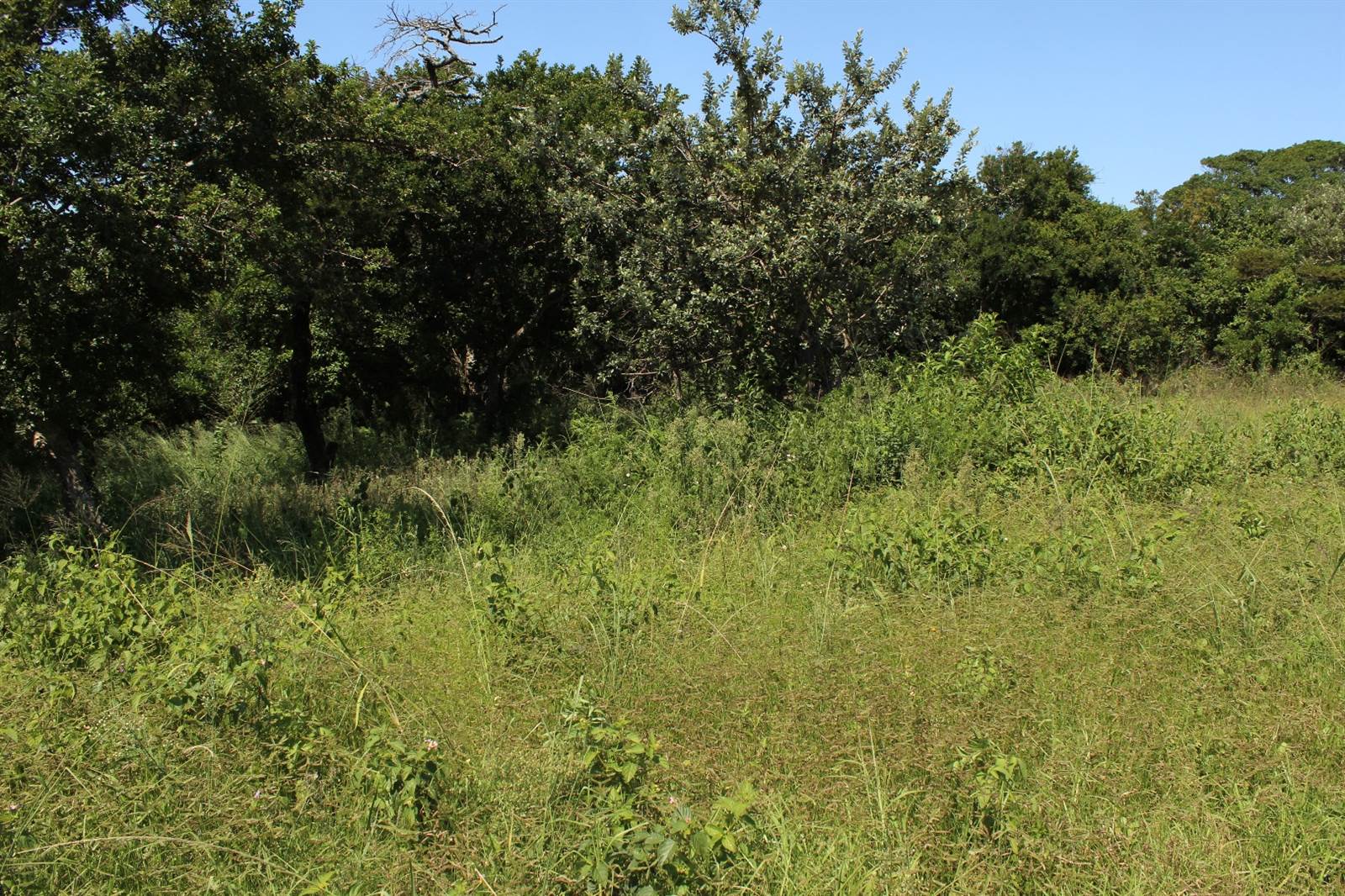 756 m² Land available in Cintsa photo number 9