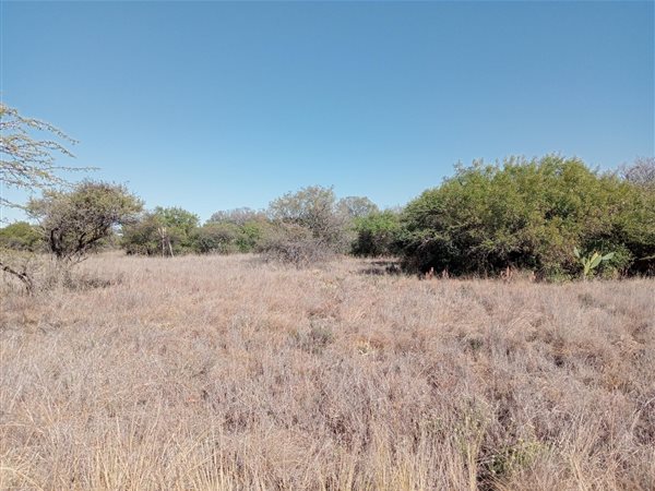 6 ha Land available in Roodeplaat
