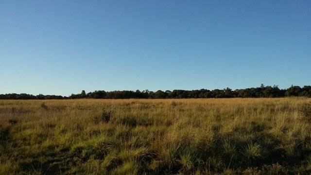 5.1 ha Farm in Cullinan and Surrounds photo number 3