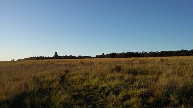 5.1 ha Farm in Cullinan and Surrounds photo number 4