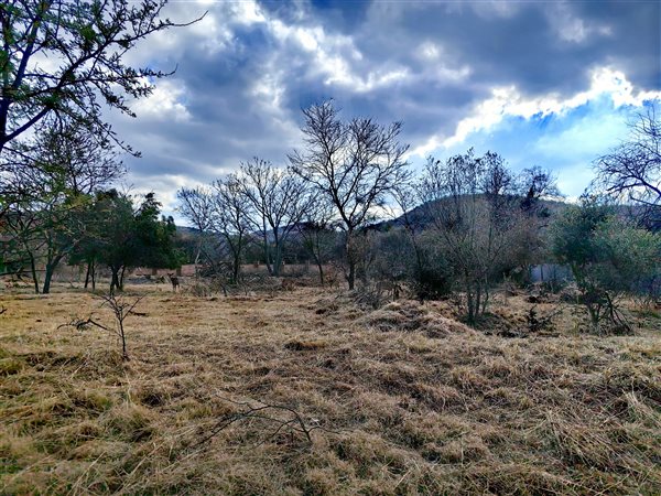 1 311 m² Land 1 311 m² Land