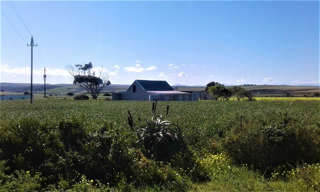 80.9 ha Farm in Mossel Bay Central photo number 12