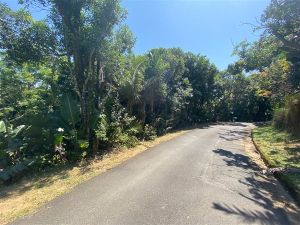 5025 m² Land available in Southbroom