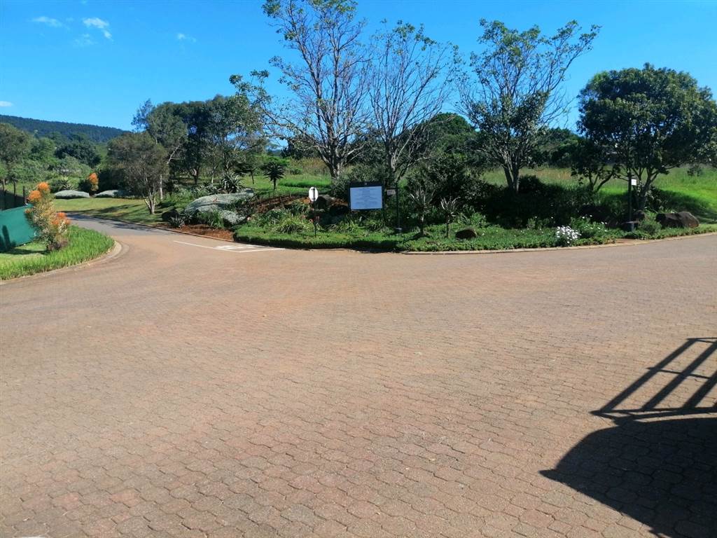 1311 m² Land available in Montrose photo number 6