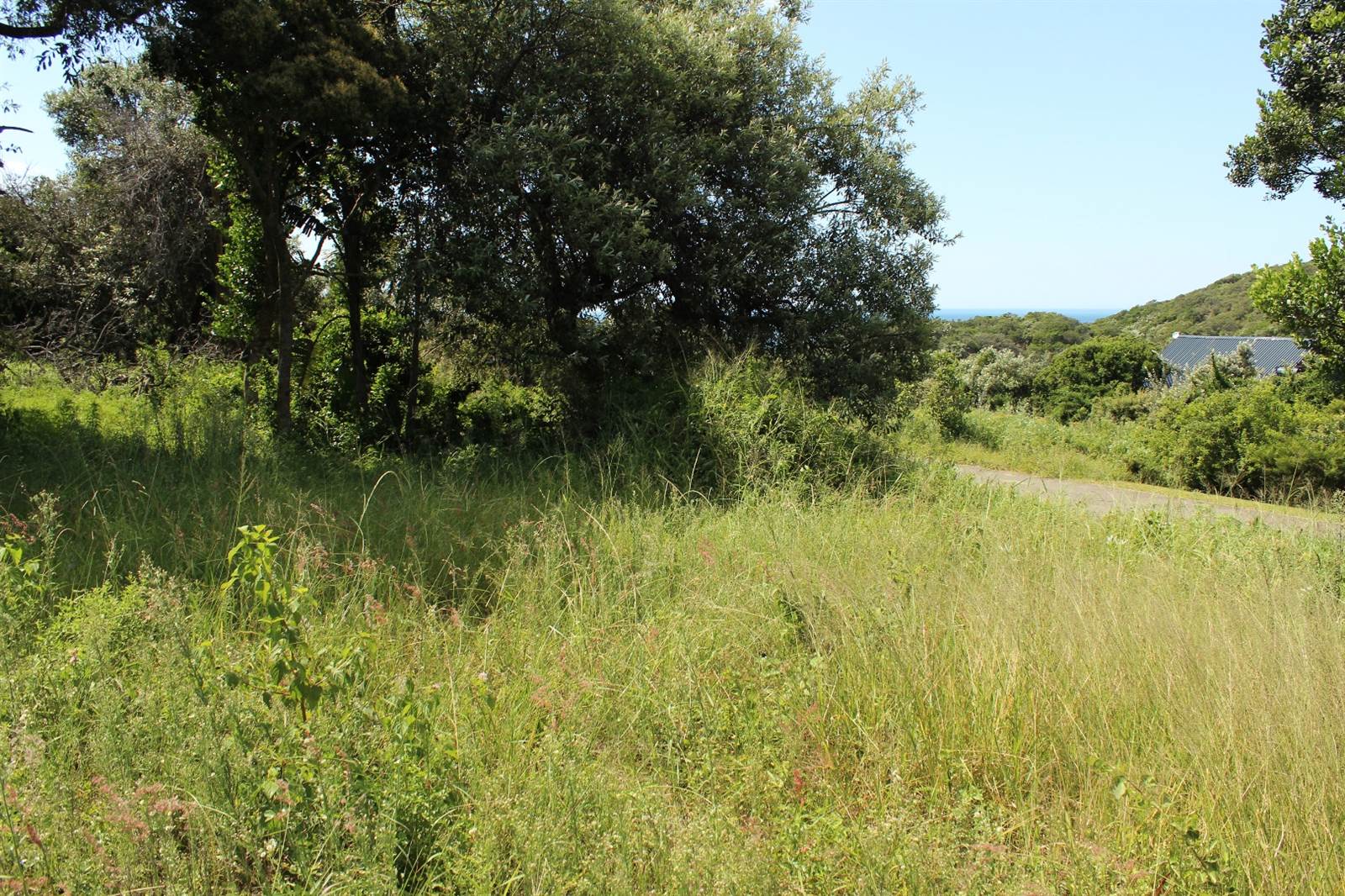 780 m² Land available in Cintsa photo number 8