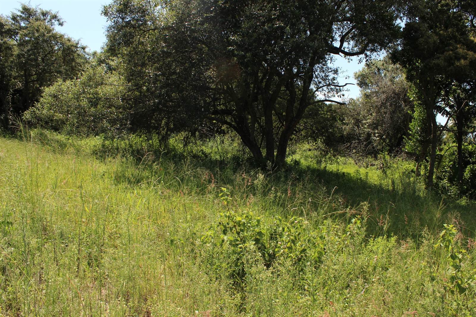 780 m² Land available in Cintsa photo number 7