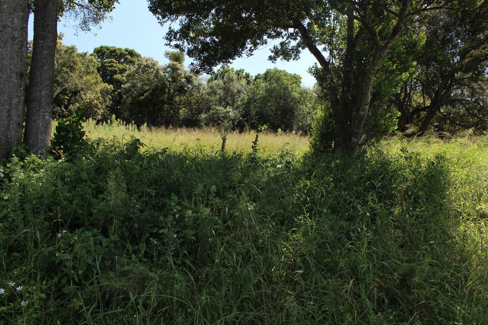 780 m² Land available in Cintsa photo number 3