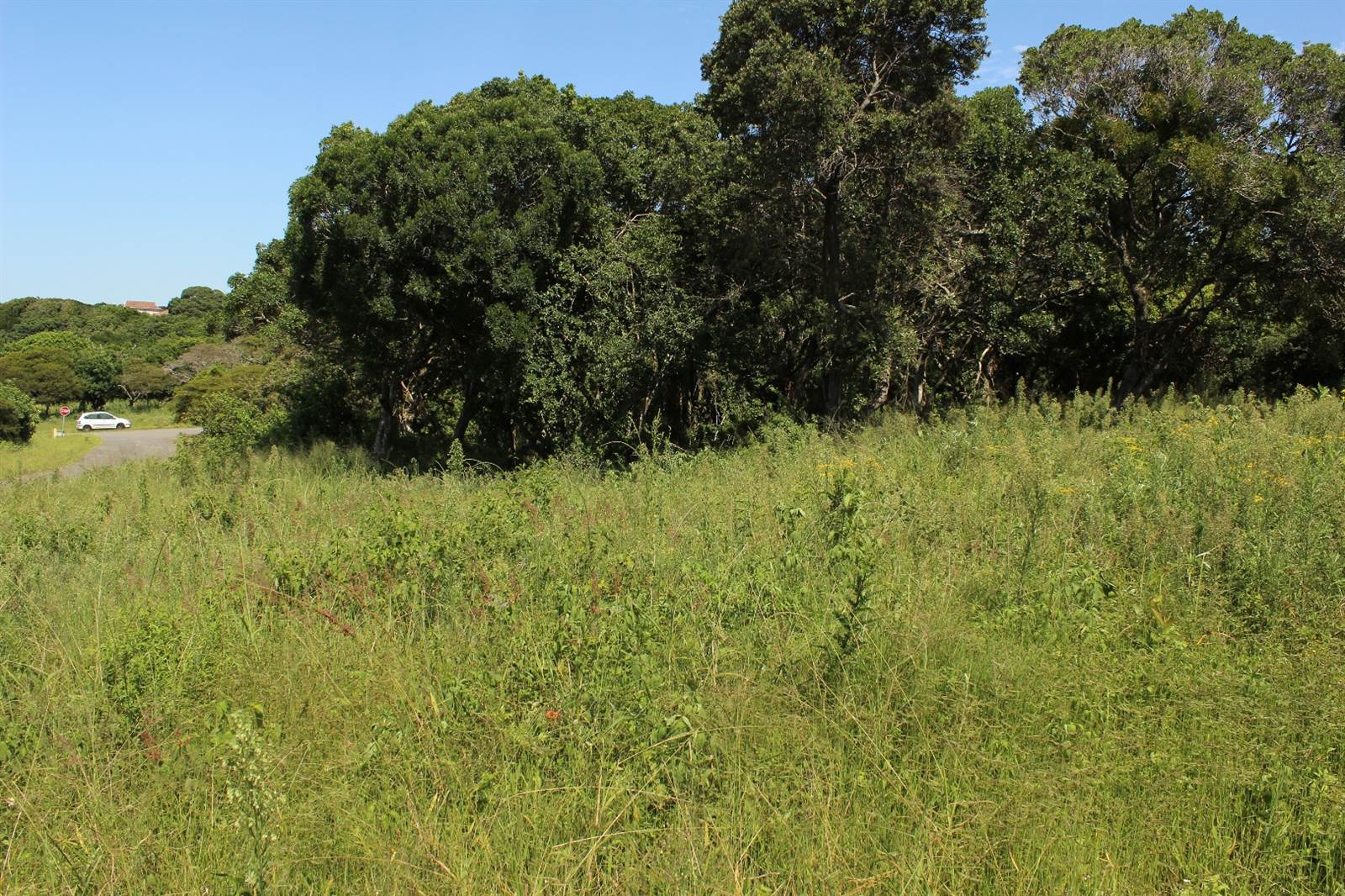 780 m² Land available in Cintsa photo number 11