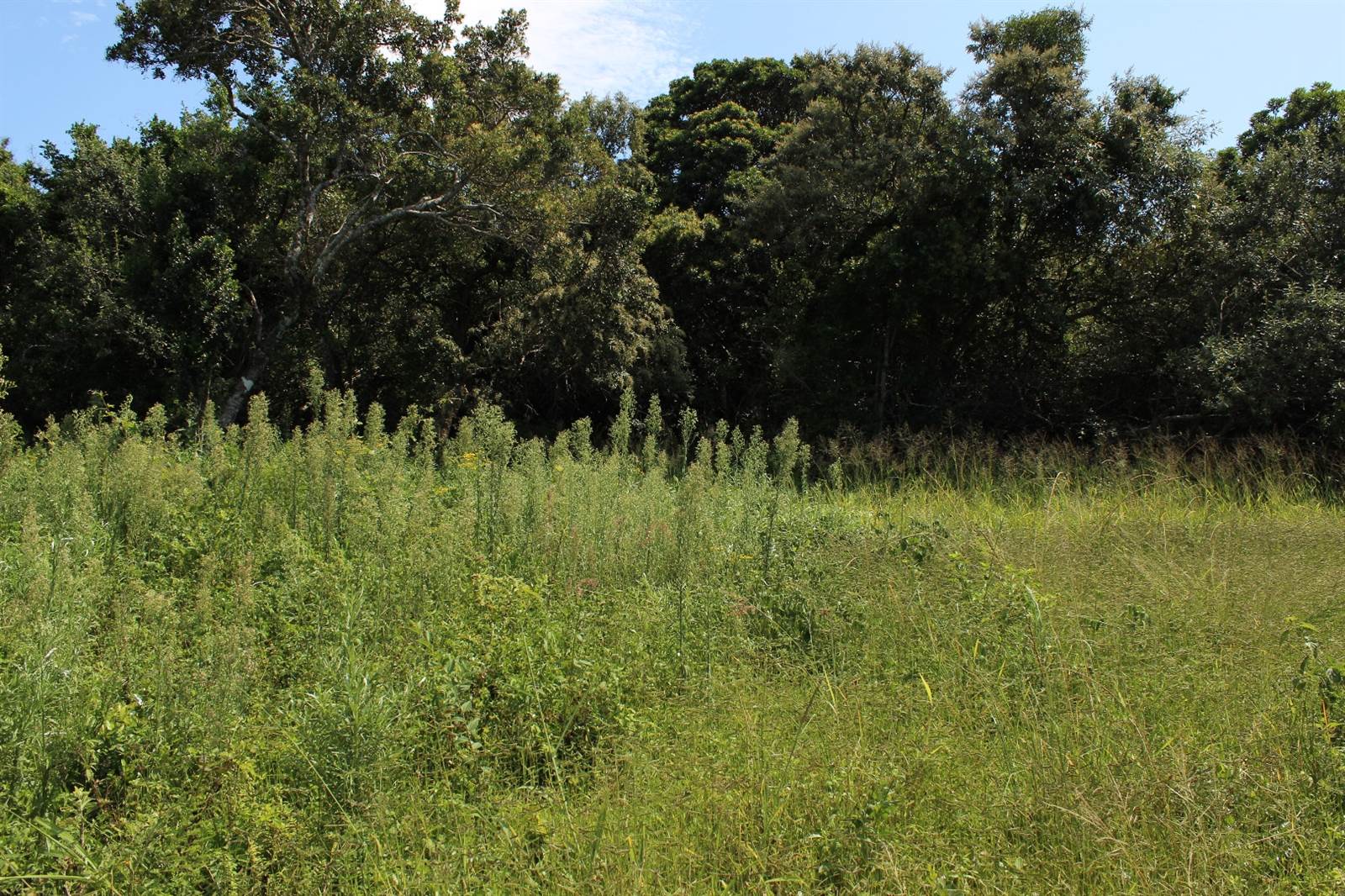 780 m² Land available in Cintsa photo number 5