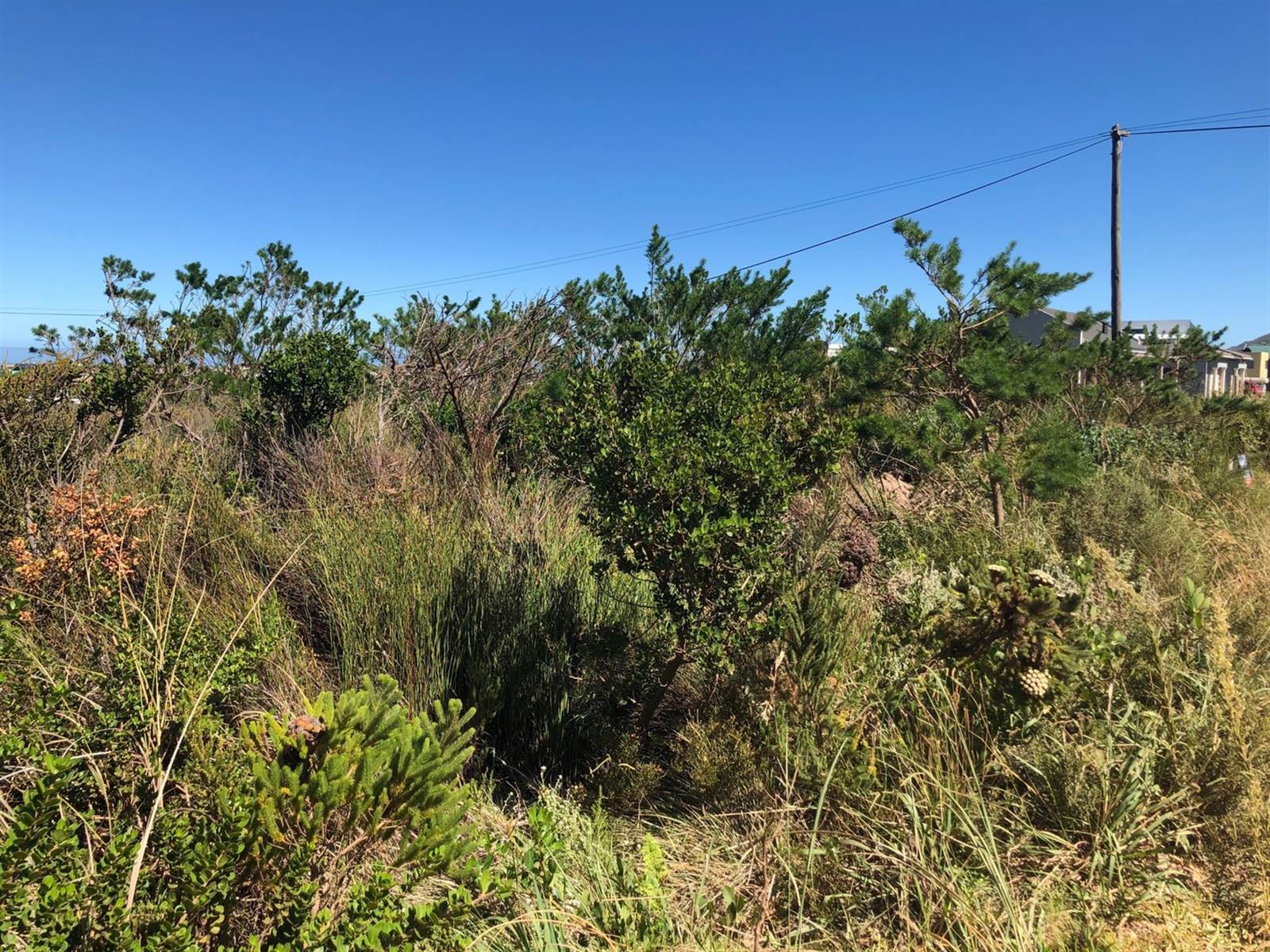 880 m² Land available in Bettys Bay photo number 3