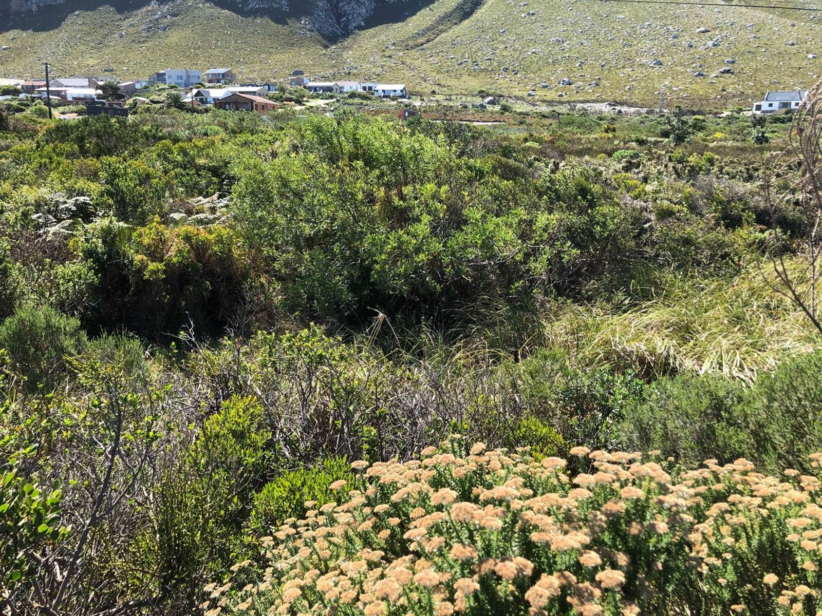 880 m² Land available in Bettys Bay photo number 11