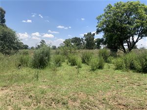 4 ha Land available in Valley Settlements AH