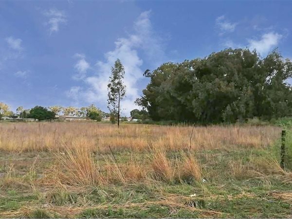 8094 m² Land available in Riversdale