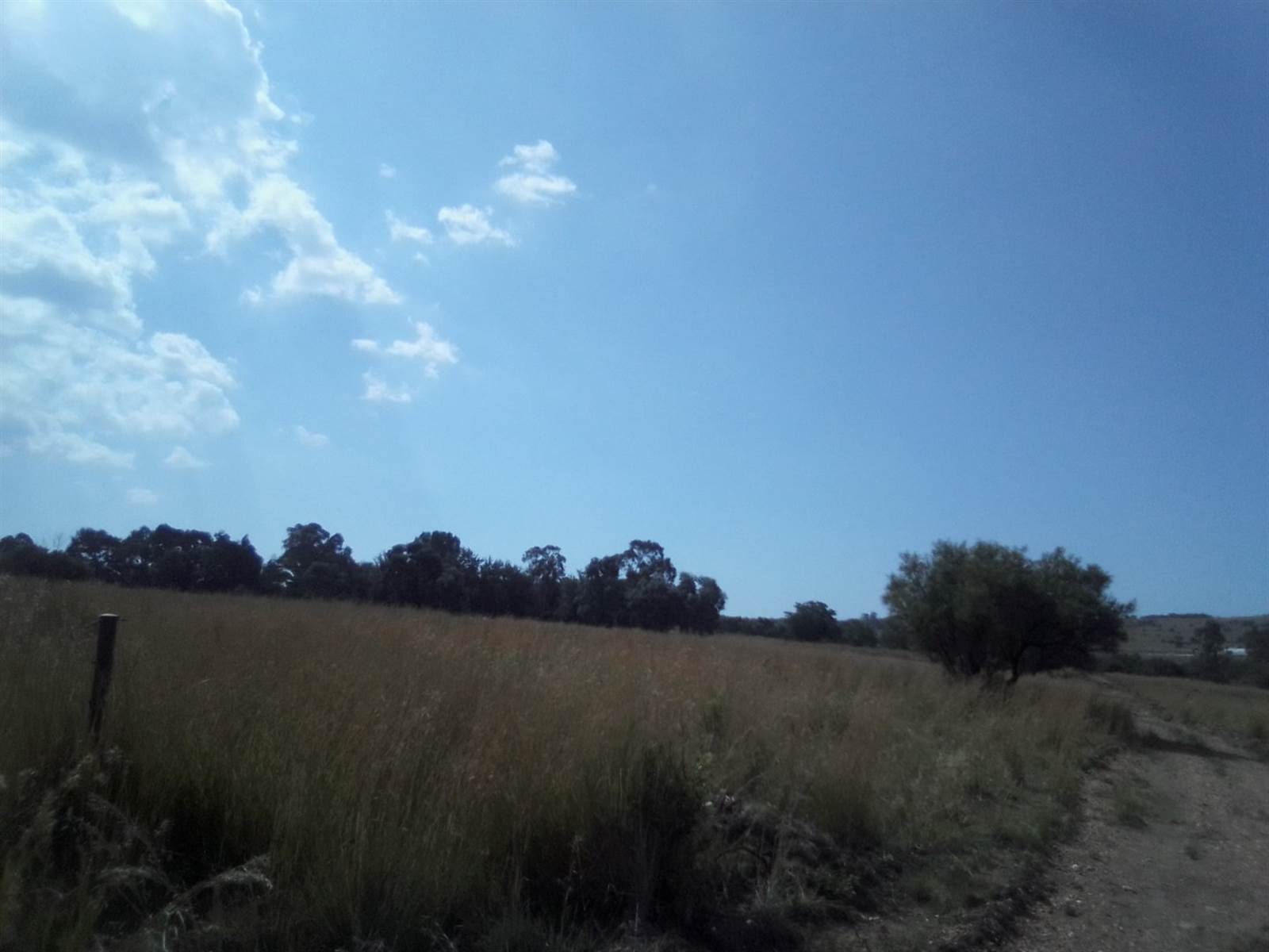 40 ha Land available in Laezonia photo number 4
