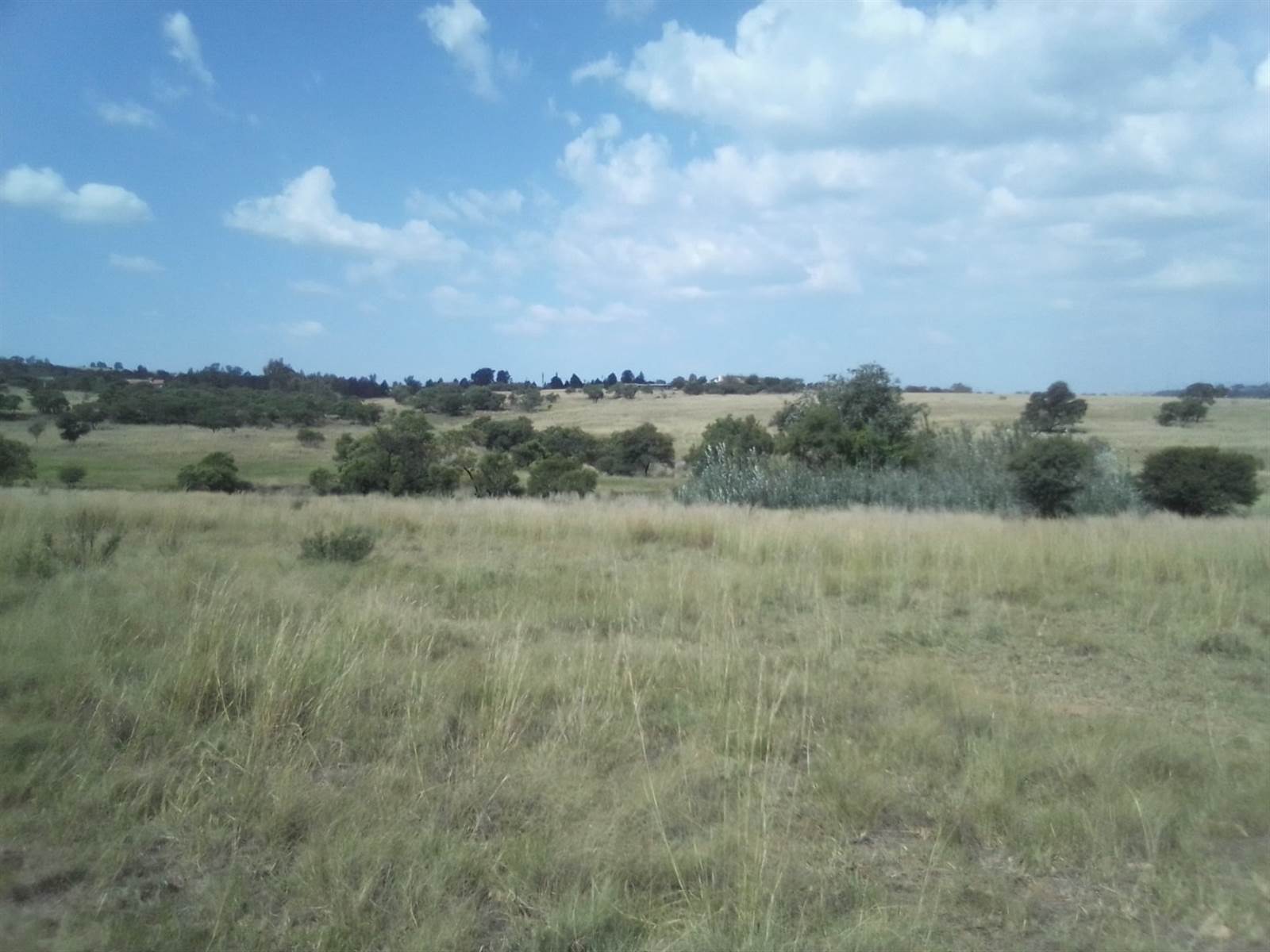 40 ha Land available in Laezonia photo number 5