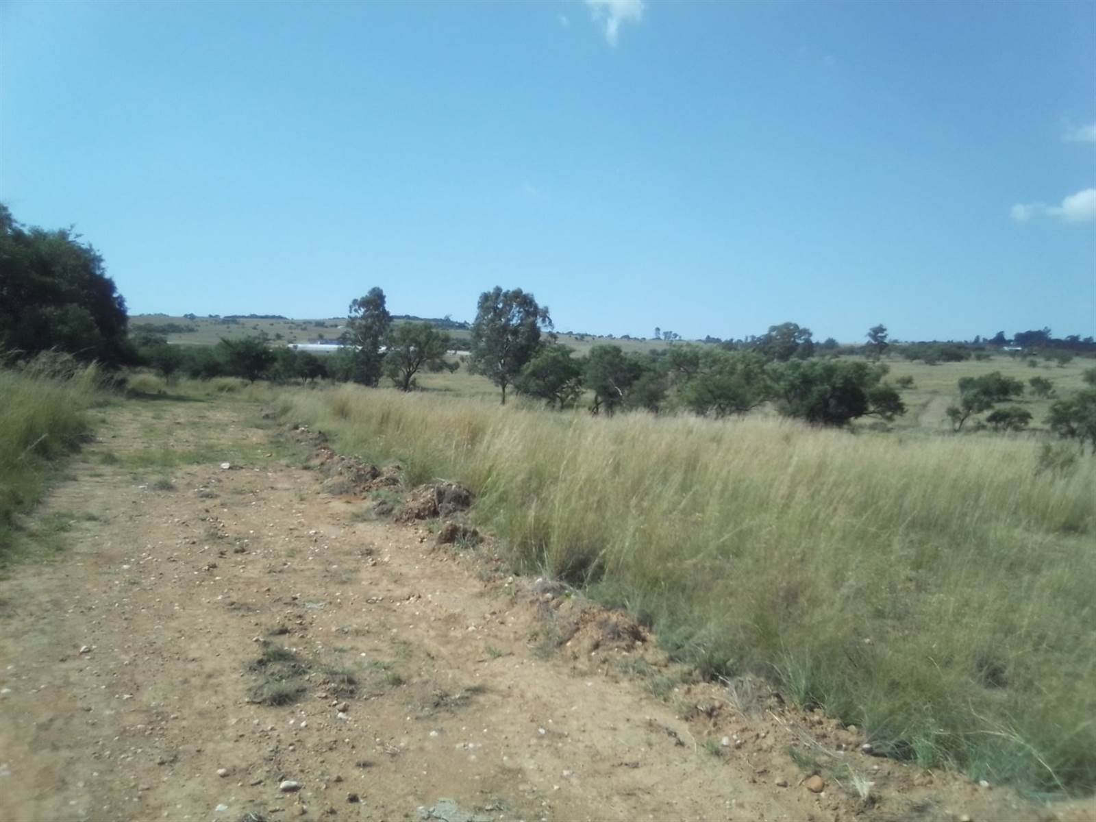 40 ha Land available in Laezonia photo number 19